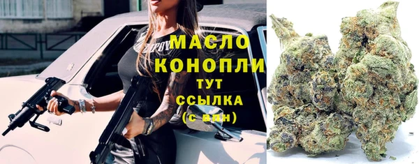 гашик Абаза