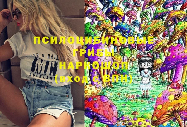 гашик Абаза