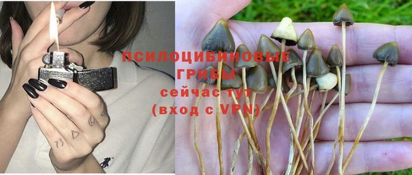 гашик Абаза