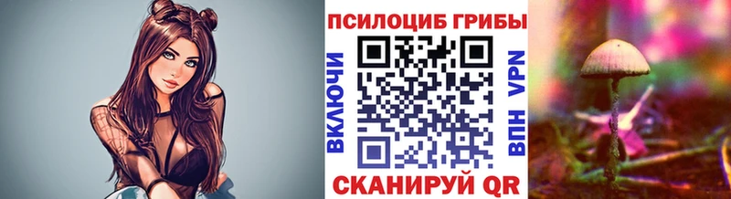 как найти закладки  Дубовка  Галлюциногенные грибы прущие грибы 