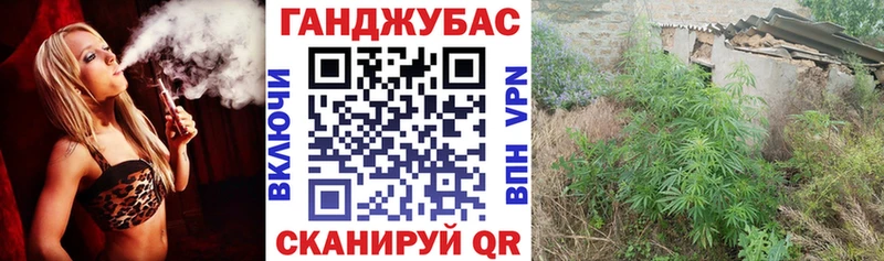 мега ONION  Дубовка  Конопля Amnesia 